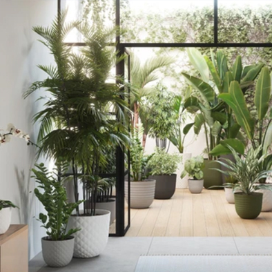 Lytroc Concrete Garden solutions